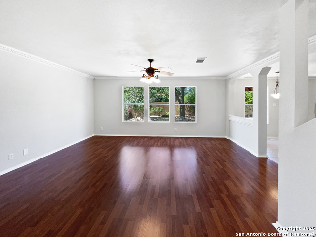 12719 Holly Cedar, Helotes, Texas image 3