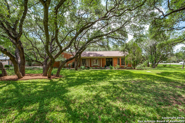 100 End Gate, Shavano Park, Texas image 3