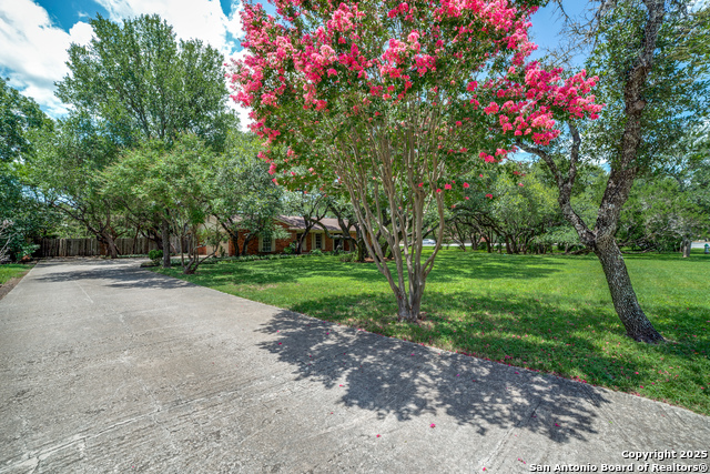 100 End Gate, Shavano Park, Texas image 4