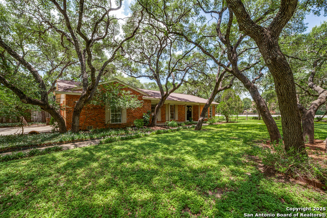 100 End Gate, Shavano Park, Texas image 5