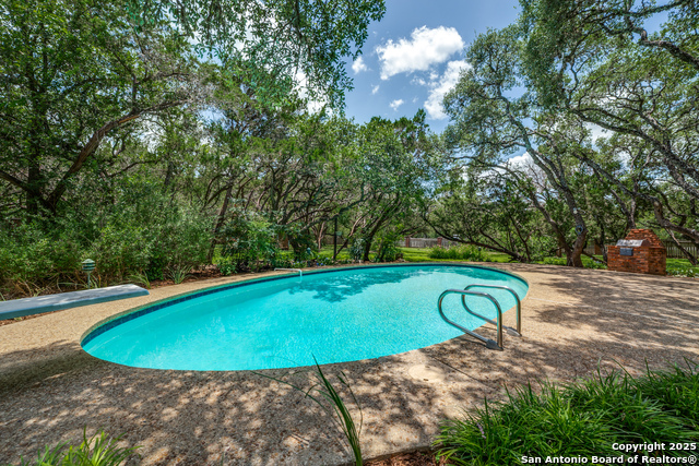 100 End Gate, Shavano Park, Texas image 6