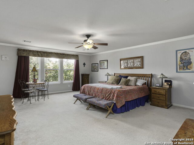 15622 Portales Pass, Helotes, Texas image 16