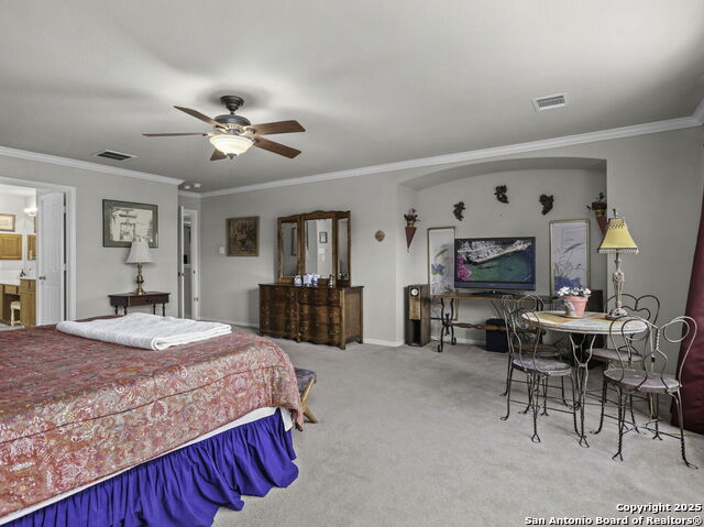 15622 Portales Pass, Helotes, Texas image 17