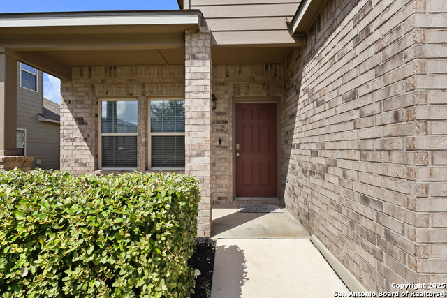 10650 Jasmine Bluff, San Antonio, Texas image 4
