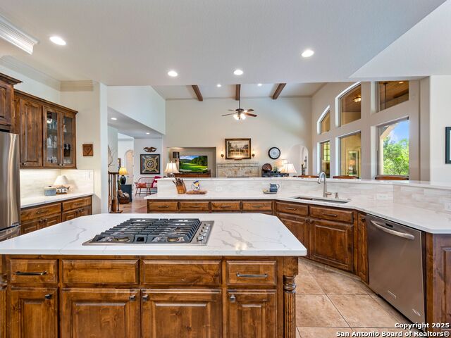 14402 Contour Place, Helotes, Texas image 22