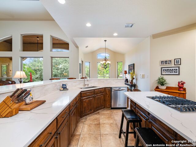 14402 Contour Place, Helotes, Texas image 23