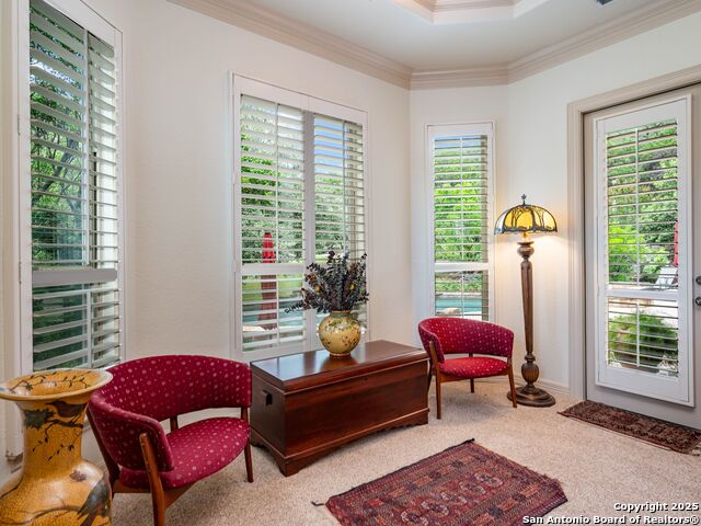 14402 Contour Place, Helotes, Texas image 28