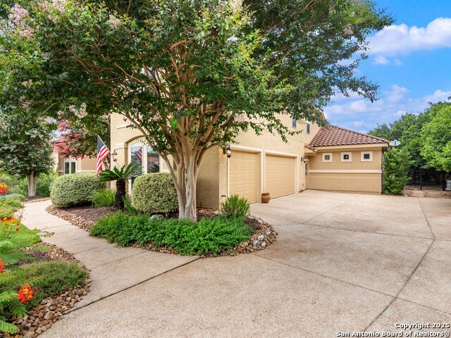 14402 Contour Place, Helotes, Texas image 9