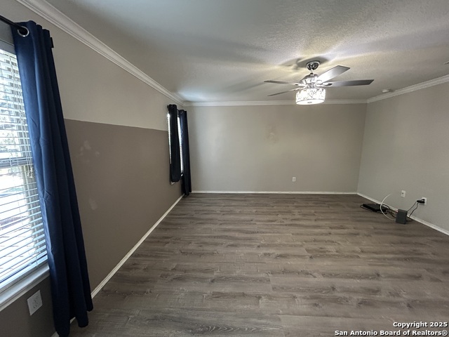 125 Lilly, Boerne, Texas image 22