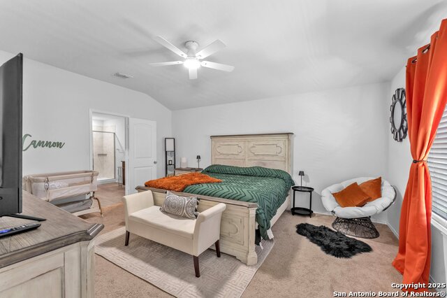 4263 Busbee Flds, Saint Hedwig, Texas image 18