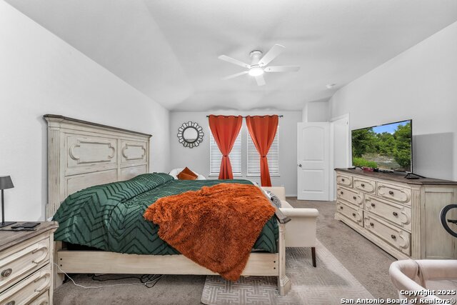 4263 Busbee Flds, Saint Hedwig, Texas image 19