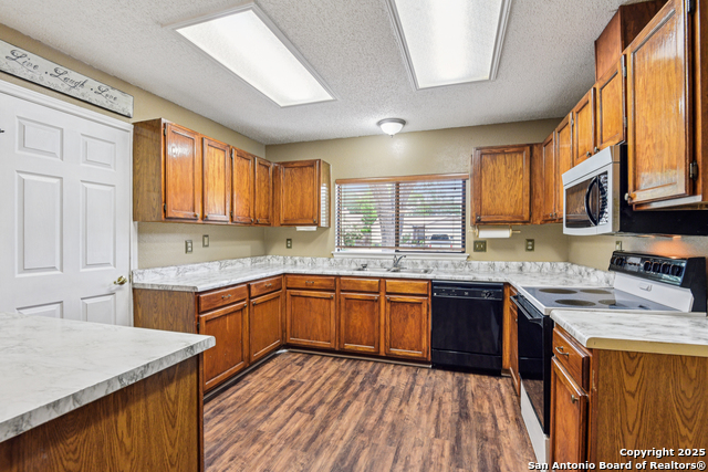 11063 Moonlit, San Antonio, Texas image 14