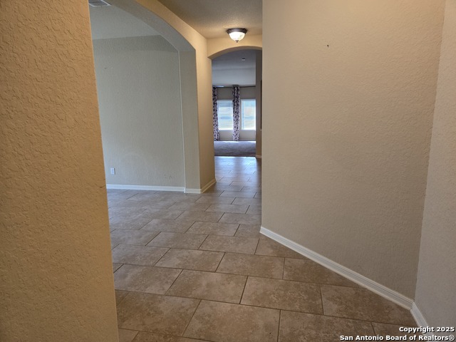 2738 Cinnamon Teal, New Braunfels, Texas image 4