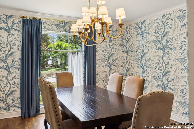 235 E Fair Oaks, Alamo Heights, Texas image 11