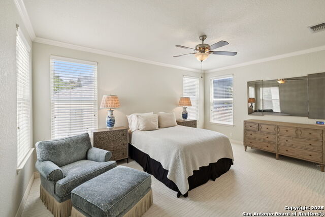 235 E Fair Oaks, Alamo Heights, Texas image 32