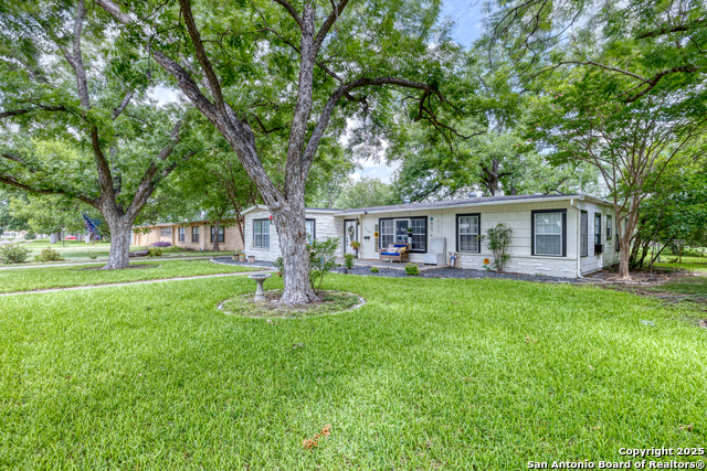 840 Cherry, Uvalde, Texas image 3