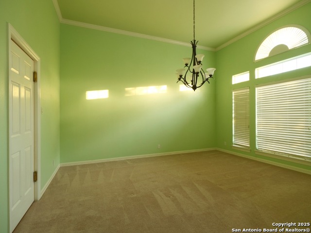 8814 Spanish Moss, Windcrest, Texas image 5