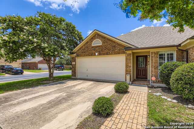 119 Jardin Vista, San Antonio, Texas image 4