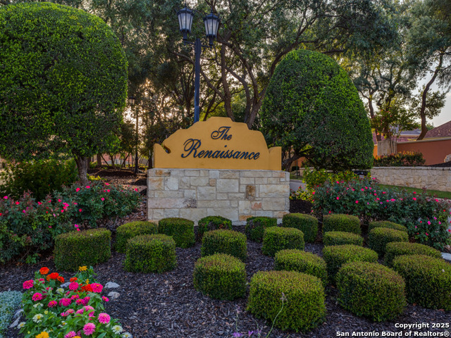 48 Montaigne, San Antonio, Texas image 36