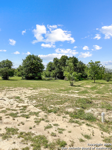 2726 Live Oak Trail, Clyde, Texas image 20