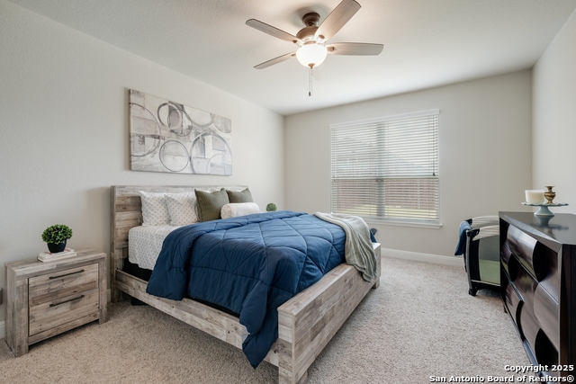 6030 Akin Elm, San Antonio, Texas image 13