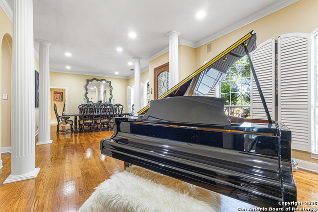 322 Branch Oak, Shavano Park, Texas image 12