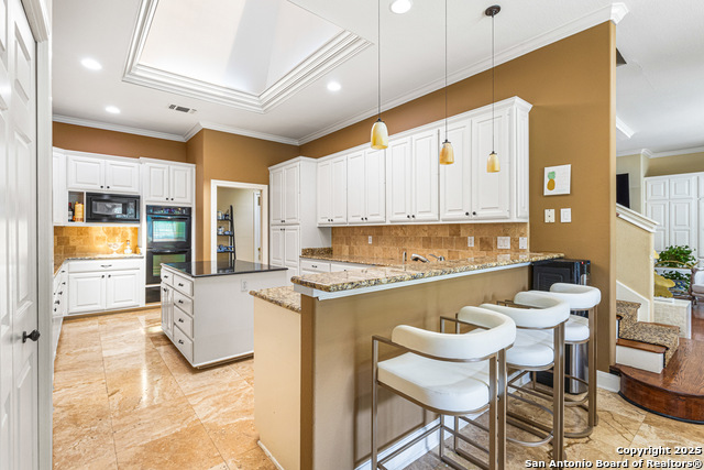 322 Branch Oak, Shavano Park, Texas image 19