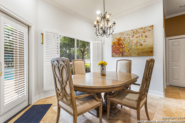 322 Branch Oak, Shavano Park, Texas image 21