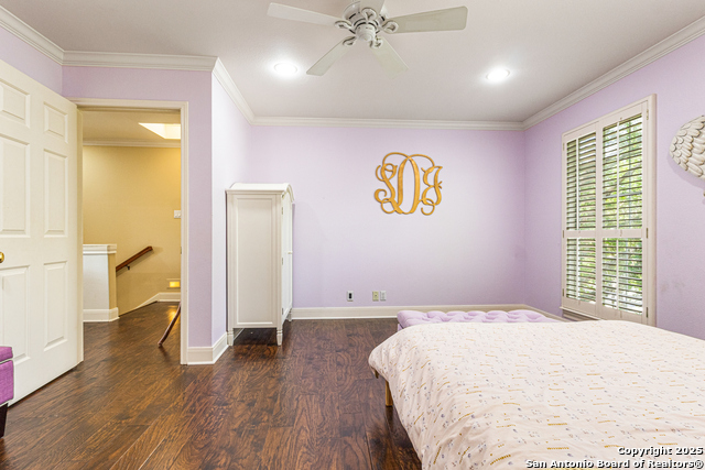 322 Branch Oak, Shavano Park, Texas image 31