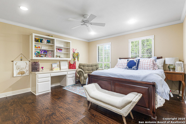 322 Branch Oak, Shavano Park, Texas image 33