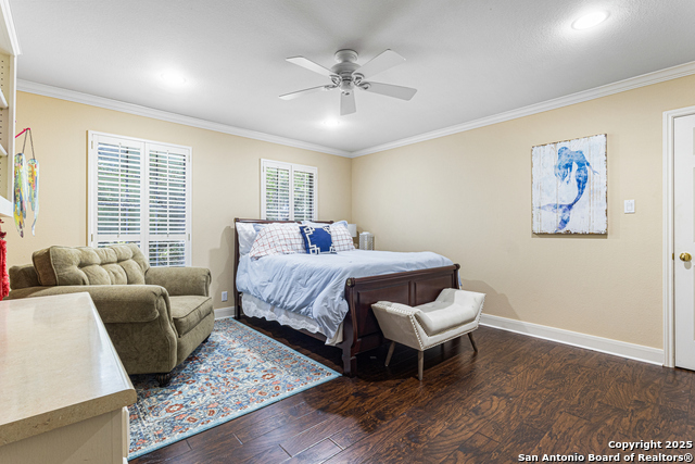 322 Branch Oak, Shavano Park, Texas image 34