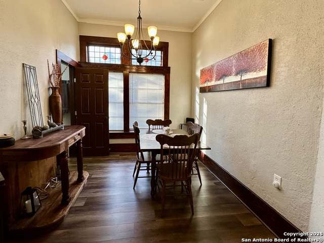 283 Sycamore, Utopia, Texas image 12