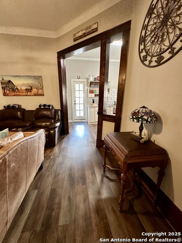 283 Sycamore, Utopia, Texas image 17