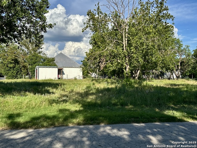 283 Sycamore, Utopia, Texas image 33