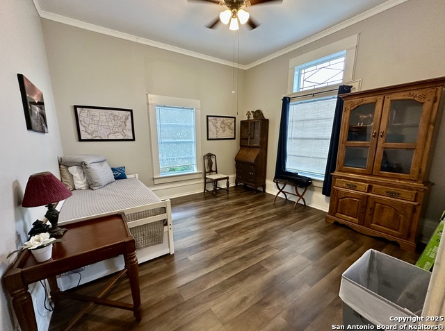 283 Sycamore, Utopia, Texas image 9