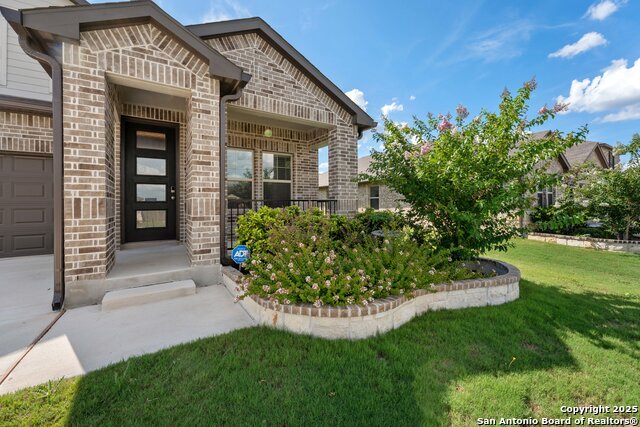 2509 Pennilynn, San Antonio, Texas image 12