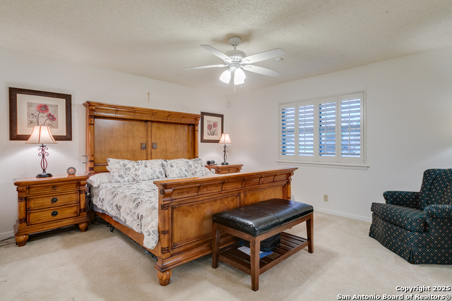 6003 Wildwind, Windcrest, Texas image 19