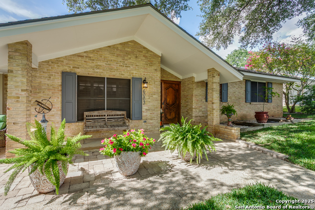 6003 Wildwind, Windcrest, Texas image 4
