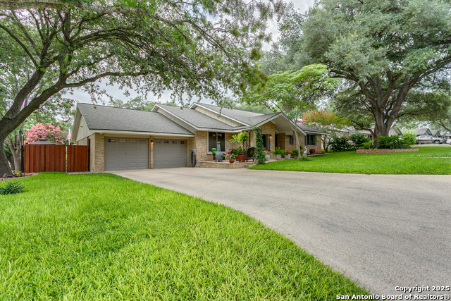 6003 Wildwind, Windcrest, Texas image 5