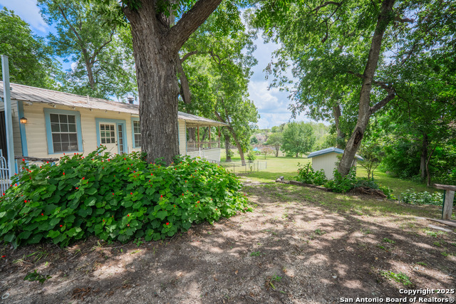 9071 Fm 725, McQueeney, Texas image 2