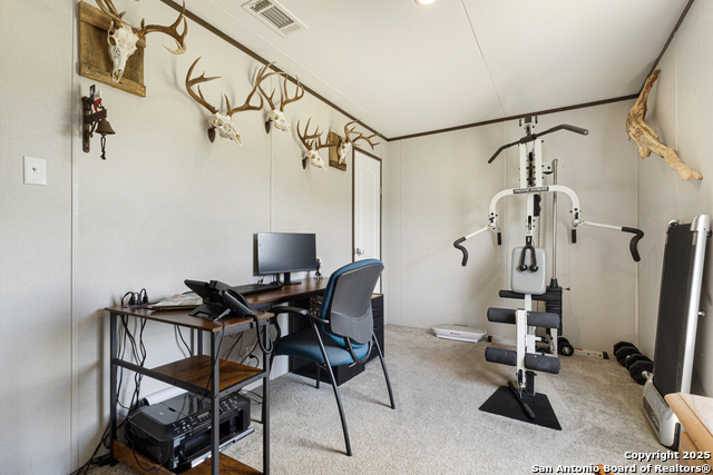 2561 County Road 3000, Pearsall, Texas image 21