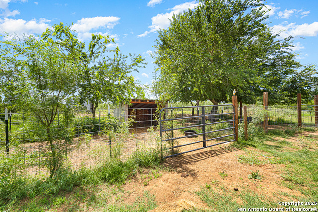 2561 County Road 3000, Pearsall, Texas image 28