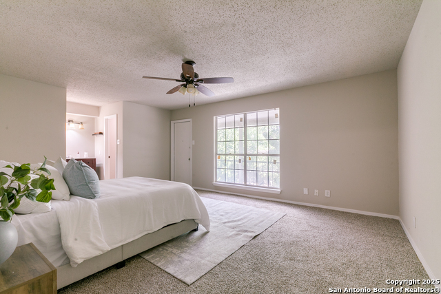 8727 Tradewind, Windcrest, Texas image 13