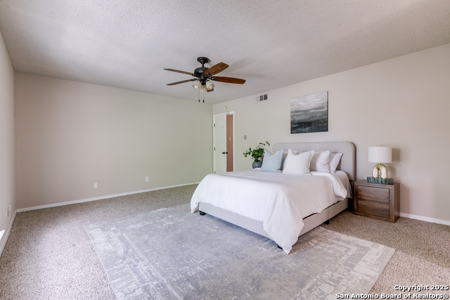 8727 Tradewind, Windcrest, Texas image 15