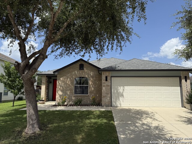 16238 Galloping Oak, Selma, Texas image 1