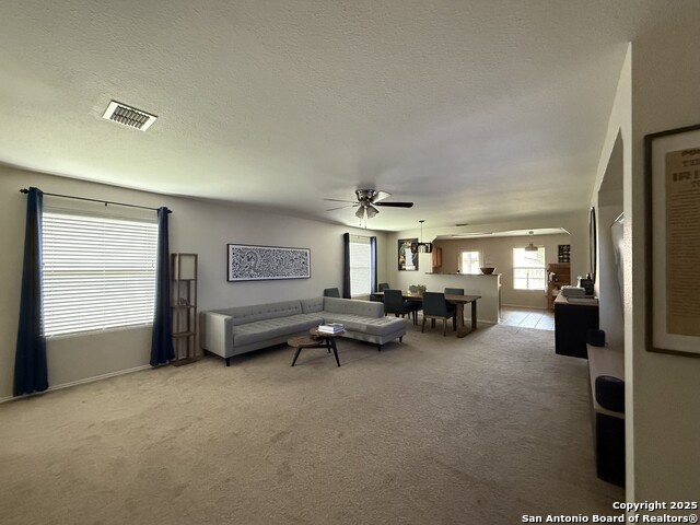 16238 Galloping Oak, Selma, Texas image 10