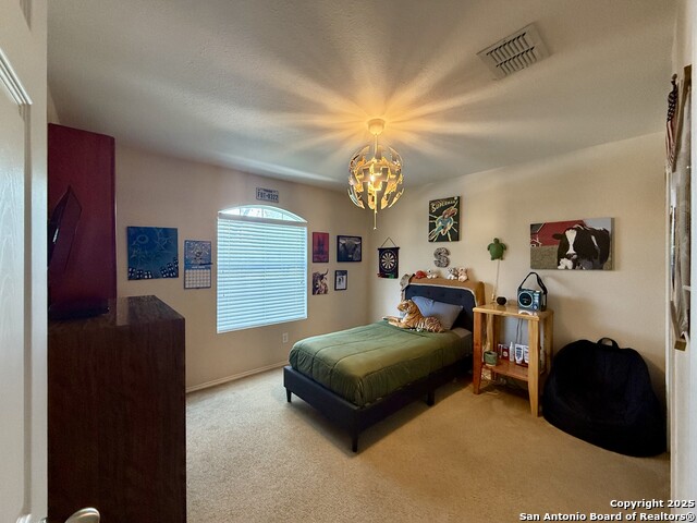 16238 Galloping Oak, Selma, Texas image 11