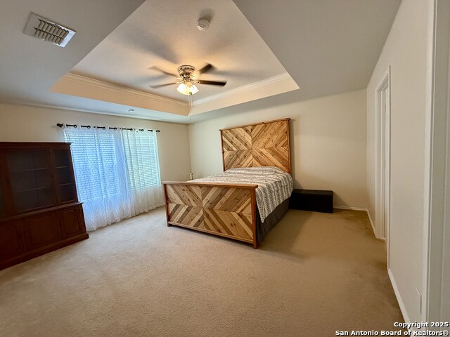 16238 Galloping Oak, Selma, Texas image 14