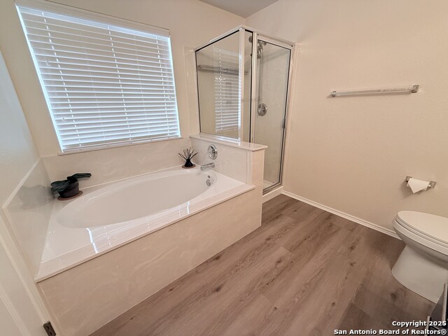 16238 Galloping Oak, Selma, Texas image 15