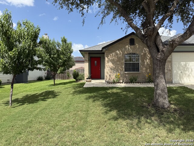 16238 Galloping Oak, Selma, Texas image 2